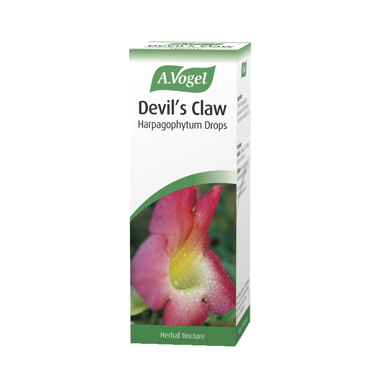 A.Vogel Devils Claw 100ml